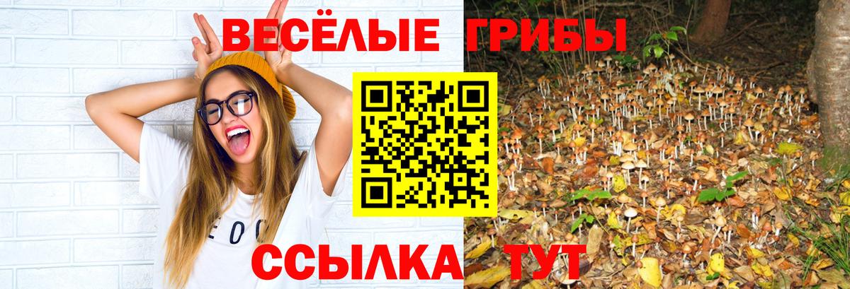 Галлюциногенные грибы Cubensis  Вход с VPN  что такое   Берёзовский 
